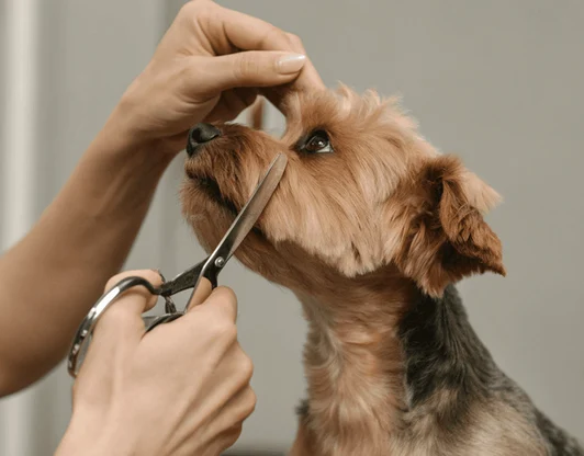 Укажите название услуги или специального предложения